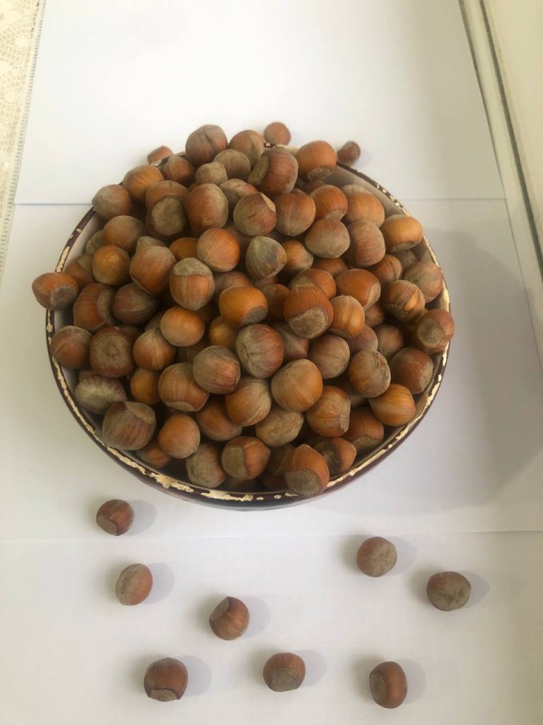 تفاوت فندق ایرانی با خارجی 