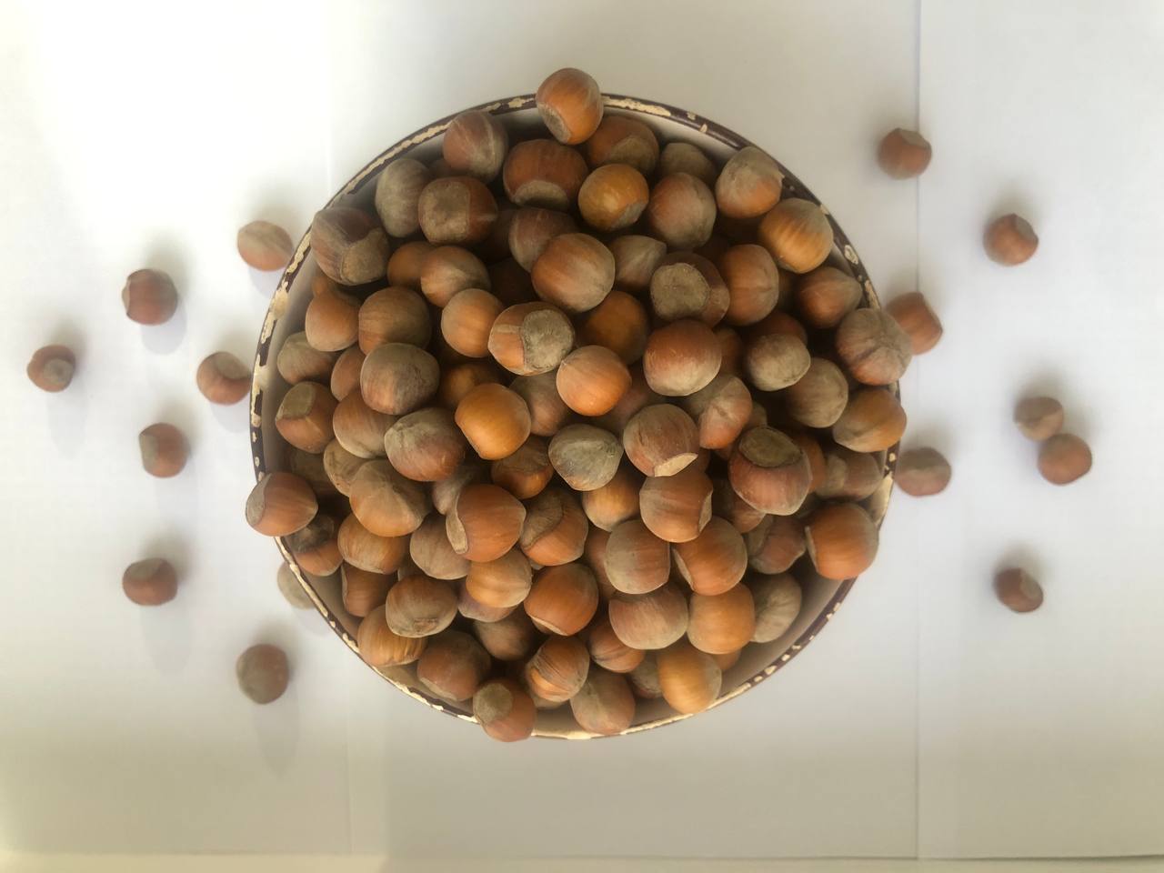 خرید و قیمت فندق تازه