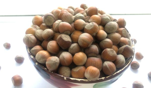 خرید و قیمت فندق تازه