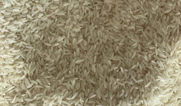 خرید و قیمت برنج هاشمی درجه یک