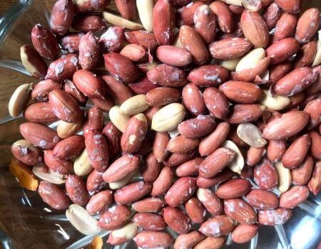 بادام زمینی آستانه اشرفیه درشت