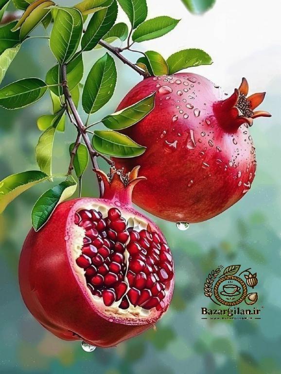 خواص انار برای معده و روده