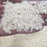 برنج دم سیاه بازارگیلان