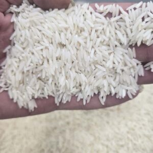 برنج دم سیاه بازارگیلان