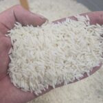 برنج طارم محلی