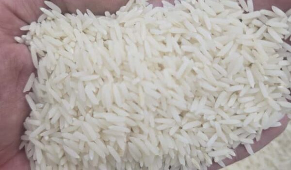 برنج طارم محلی