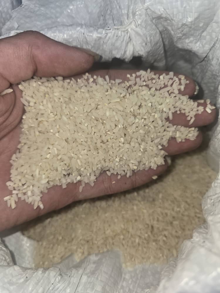 برنج نیم دانه هاشمی بازارگیلان